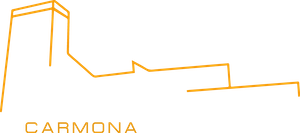 Servicios Verticales Carmona